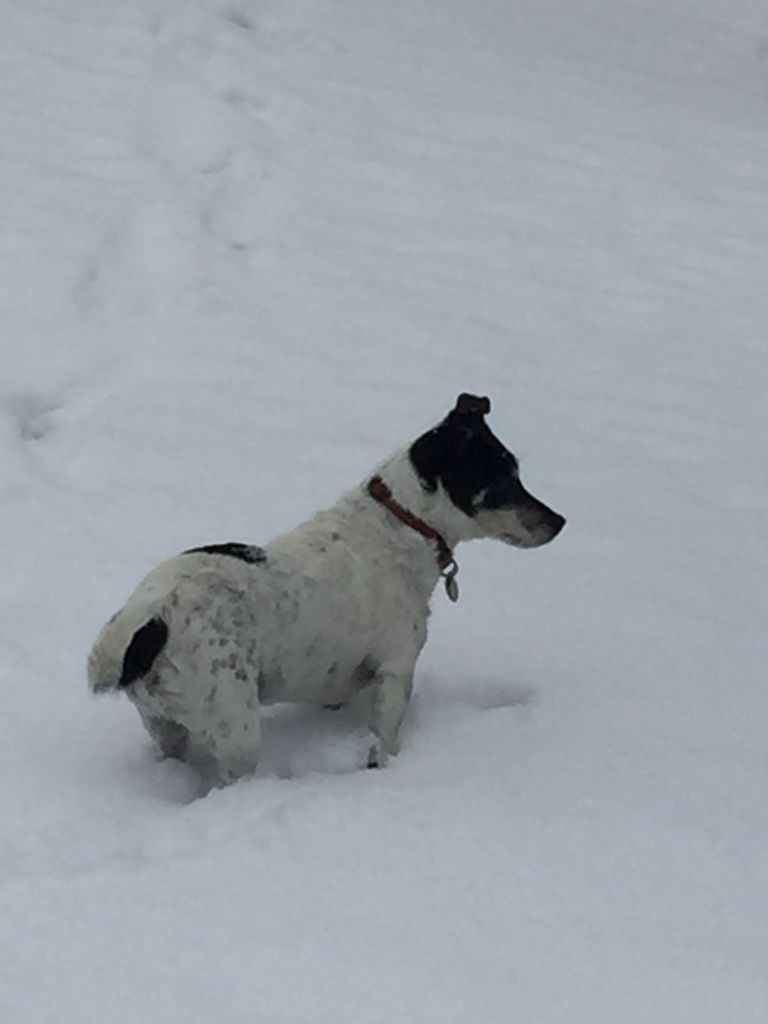 Dieses Bild hat ein leeres alt-Attribut; sein Dateiname ist lucy_00093.jpg.